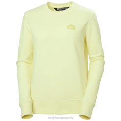 Helly Hansen France | Helly-Hansen Sweat-shirt graphique Nord pour femmes 060J1883 mélange gris